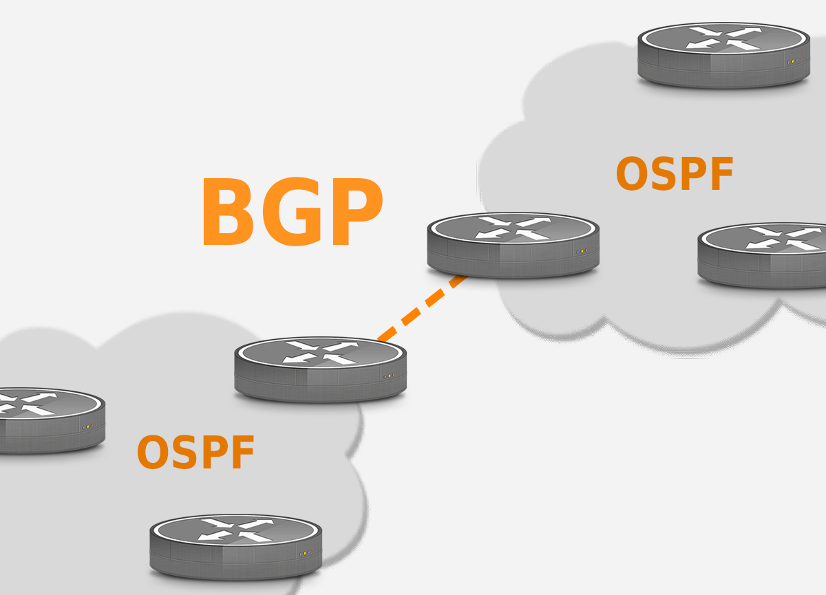 bgp ospf