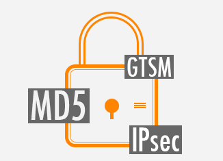 BGP Security: the MD5 password and GTSM