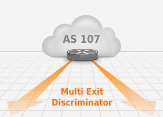 The BGP Multi Exit Discriminator