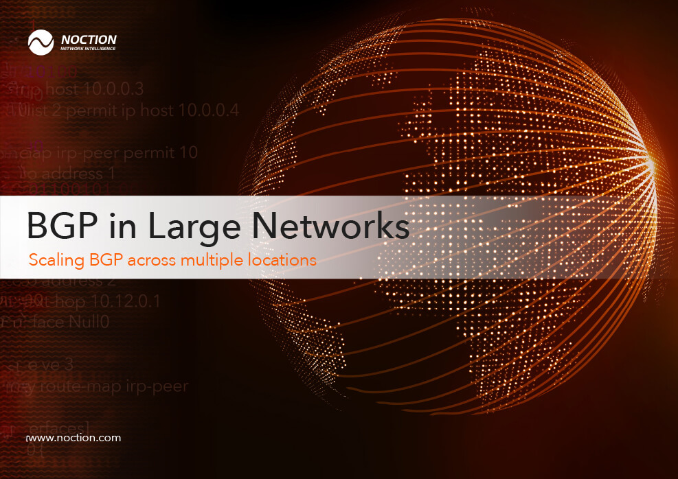 BGP in Large Networks
