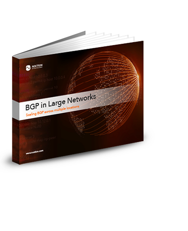 BGP in Large Network eBook