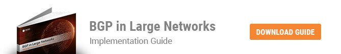 BGP in Large Networks eBook