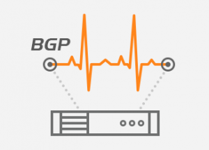 BGP Monitoring Protocol