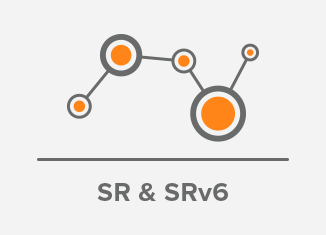 Segment Routing and the SRv6 Network Programming