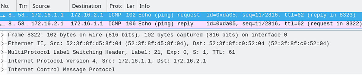 BGP MPLS Captured Traffic