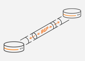 BGP / MPLS Layer 3 VPNs