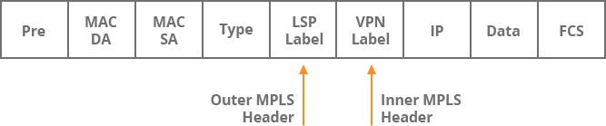 MPLS VPN Packet Structure