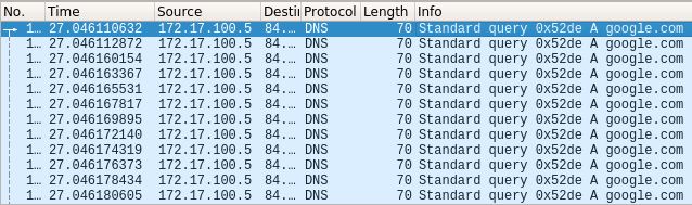 Captured DNS Queries sent to DNS Server