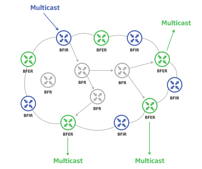 BIER Domain Multicast