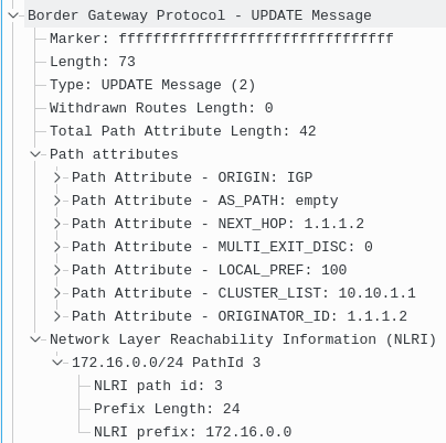 BGP UPDATE Message with Extended NLRI Encoding