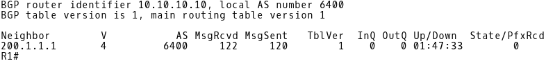 R1 BGP Neighbors