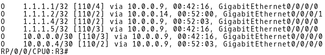 R3 OSPF Routes 