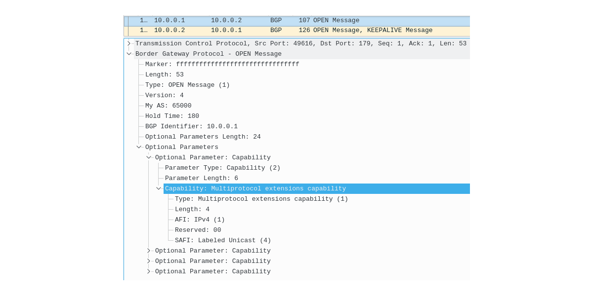 BGP LU Open Message