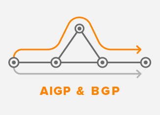 IGP Interior Gateway Protocol and BGP Border Gateway Protocol