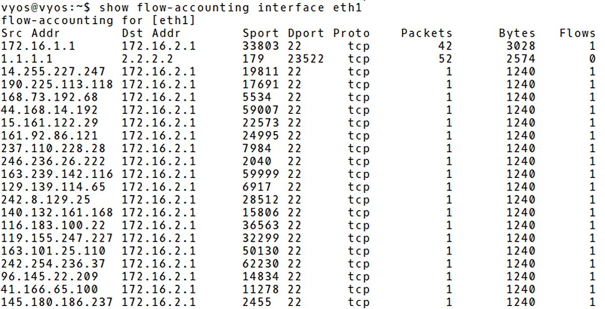 VyOS Flow Cache