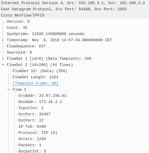 Captured NetFlow v9 Packet