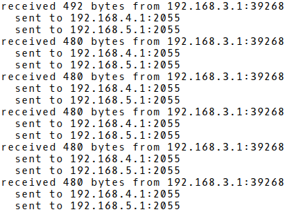 Captured Debugging Output from Samplicator CLI