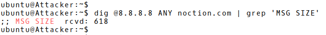 DNS Response Length 618 Bytes