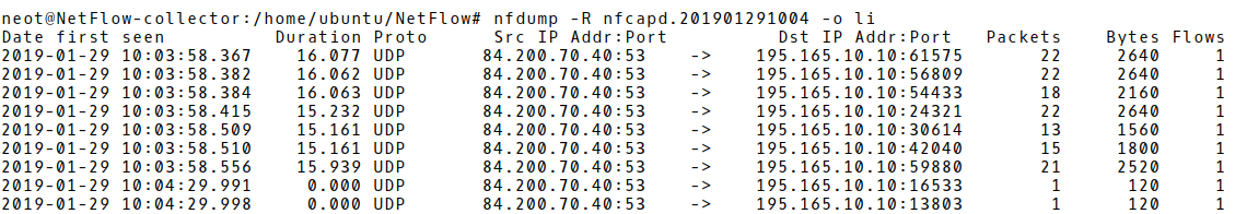 A Large Amount of DNS Responses in NetFlow Records