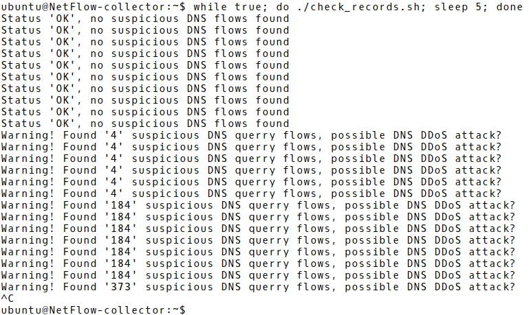 Detection of DNS Amplification Attack Detection Process Based on Suspicious NetFlow Records