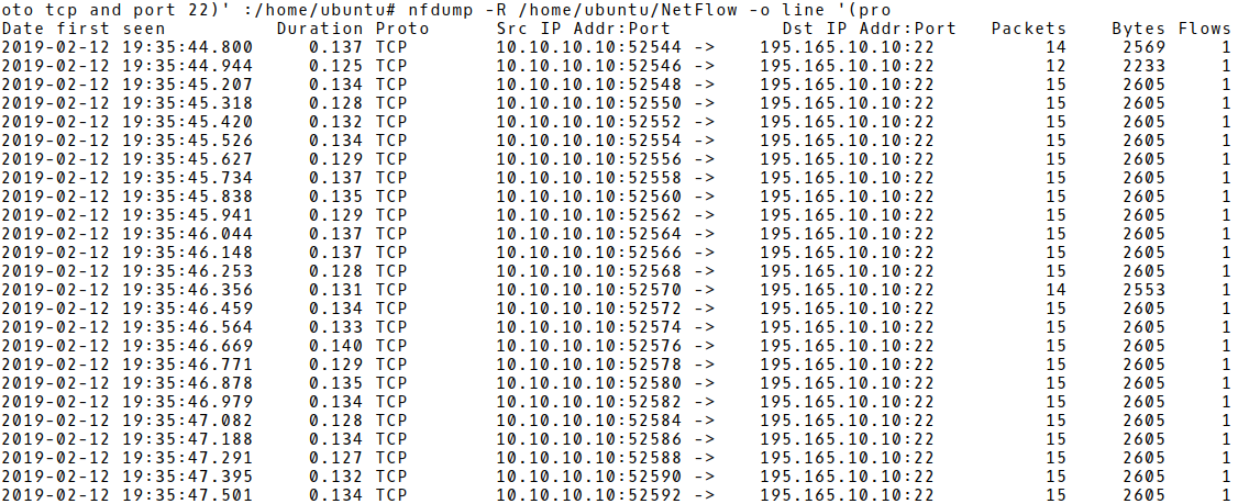 Flow Records of the Brute-Force Phase of an SSH Attack 