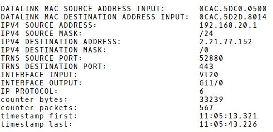 Flow Record with HTTPS Traffic