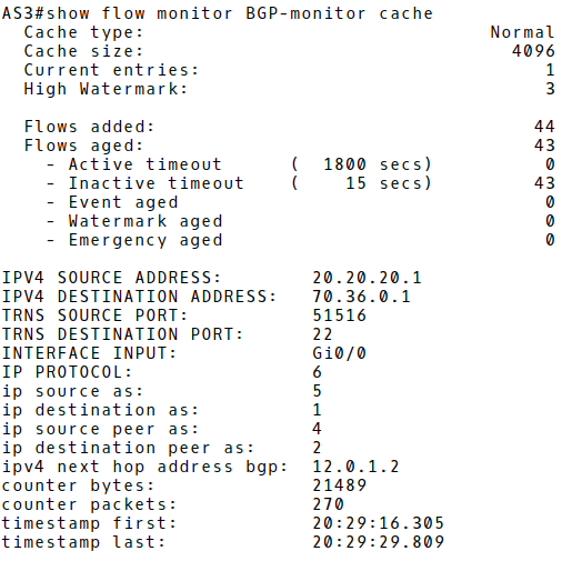 NetFlow v9 Record