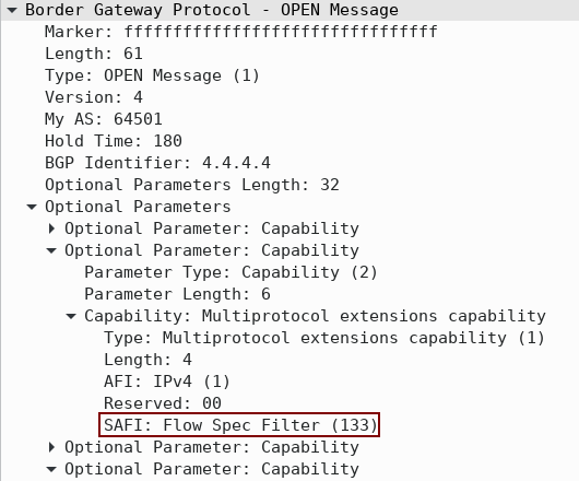 BGP OPEN Message with Flowspec Capability