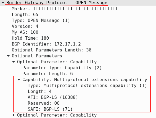 BGP LS Capability