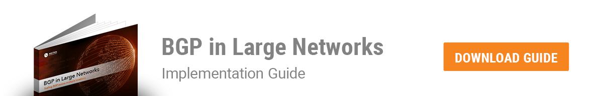 BGP in Large Networks eBook