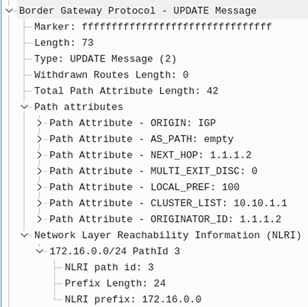 BGP UPDATE Message