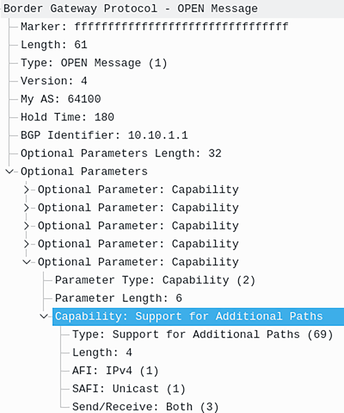 BGP Multipath