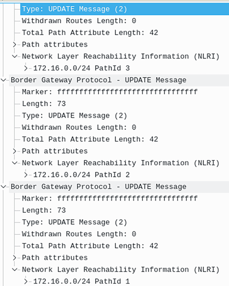 BGP Path ID