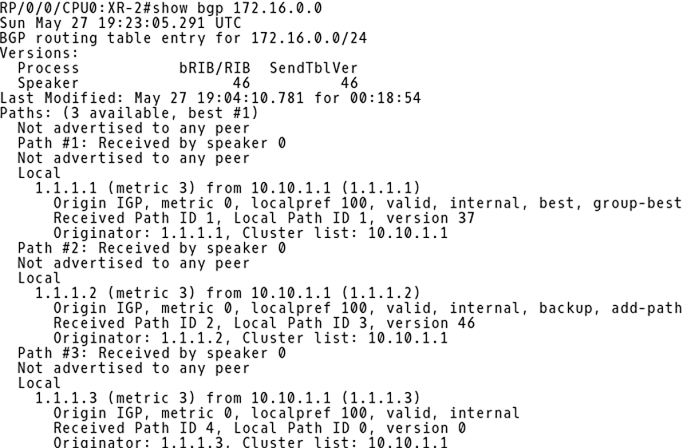 BGP Best Path AS Path Multipath