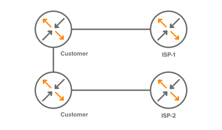 Single Multi-Homed Redundant