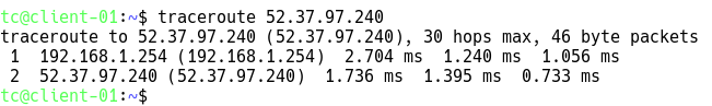 check bgp path