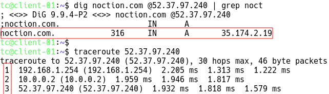 DNS Query to Anycast IP