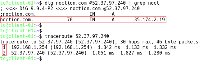 DNS Query