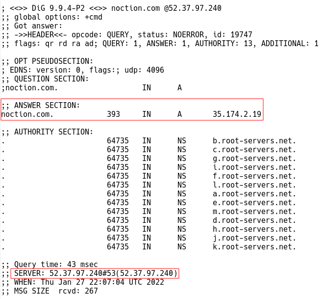 DNS Query