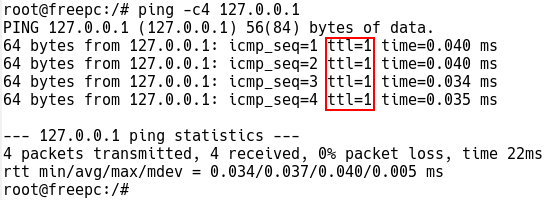 TTL value