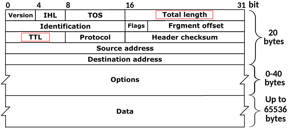 Total Length and TTL in IPv4 Header