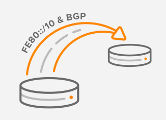 ipv6 link-local