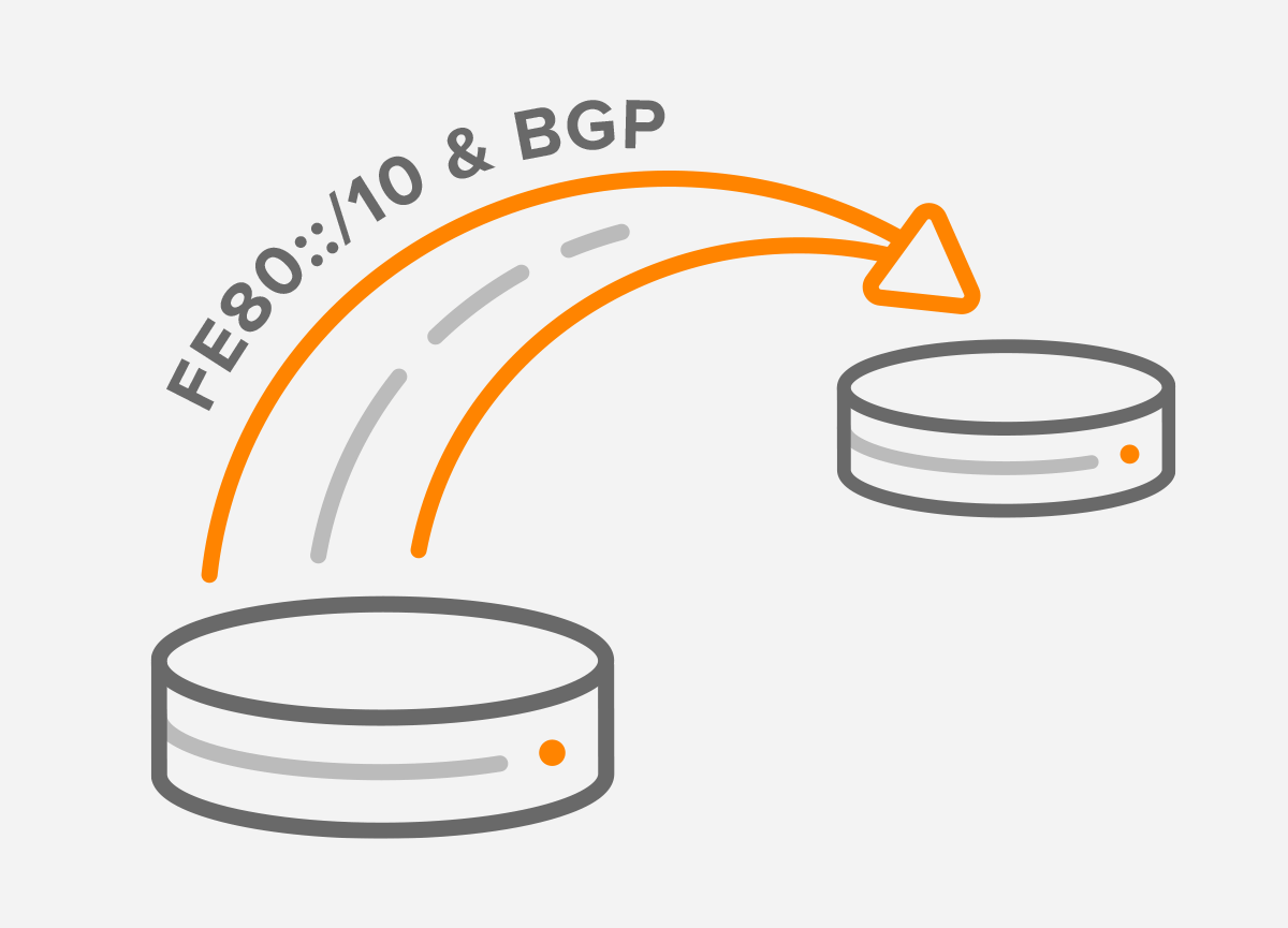 IPv6 Link-Local Next Hop Capability for BGP