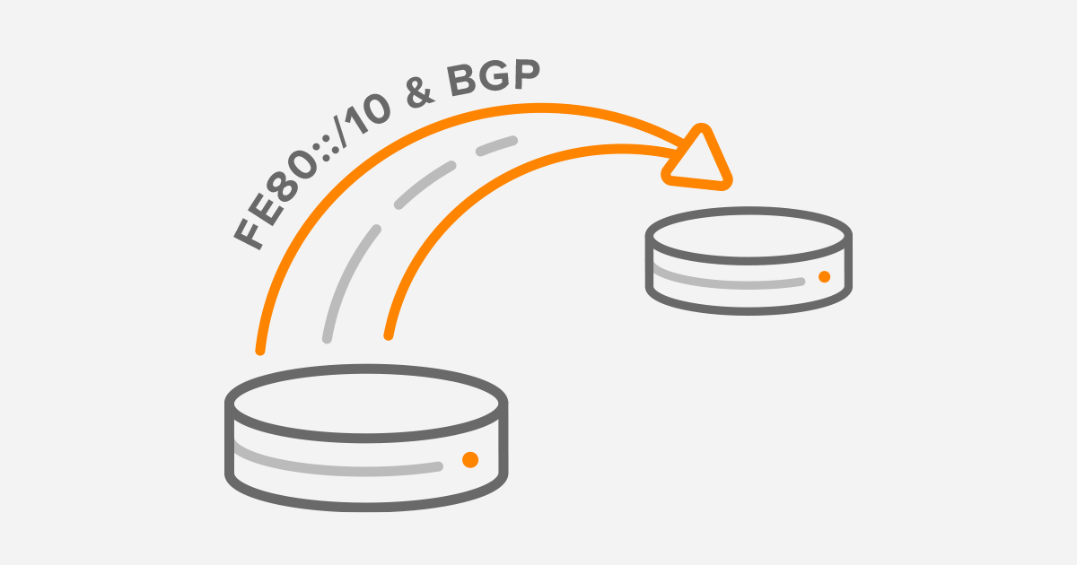IPv6 Link-Local Next Hop Capability for BGP | Noction