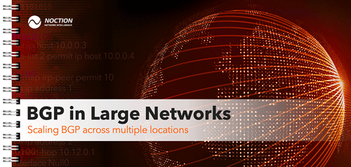 BGP in Large Networks