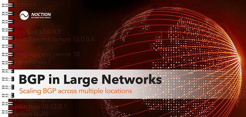 BGP in Large Networks