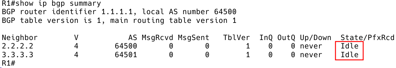 bgp peering status