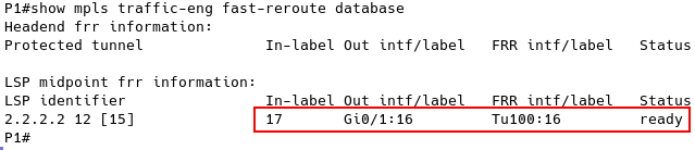 MPLS TE FRR Database