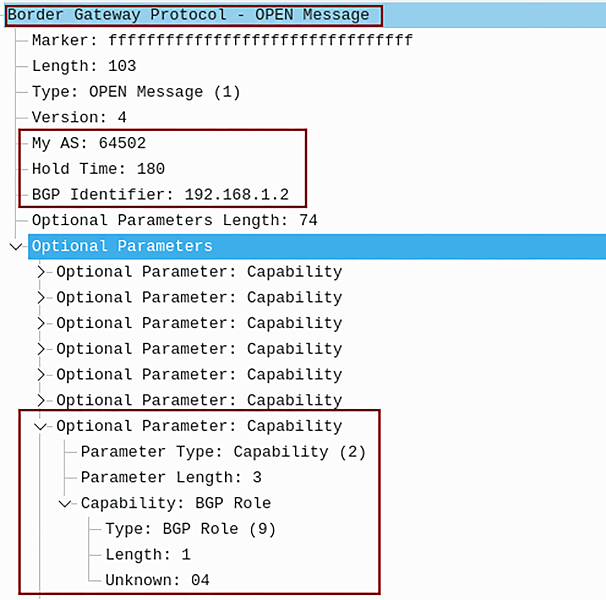 Capability BGP Role Peer