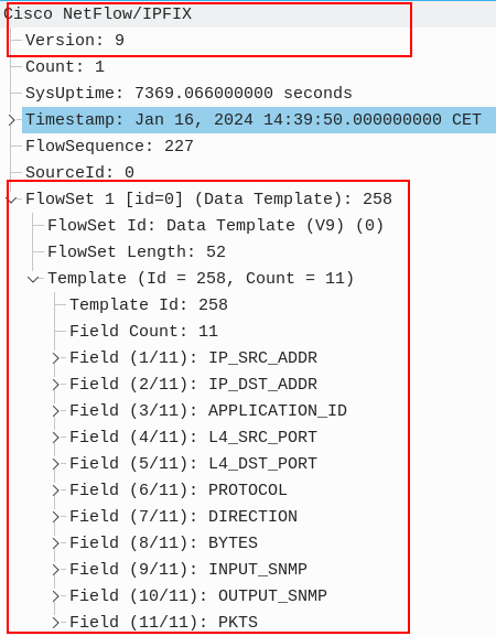 NetFlow v9 Flowset